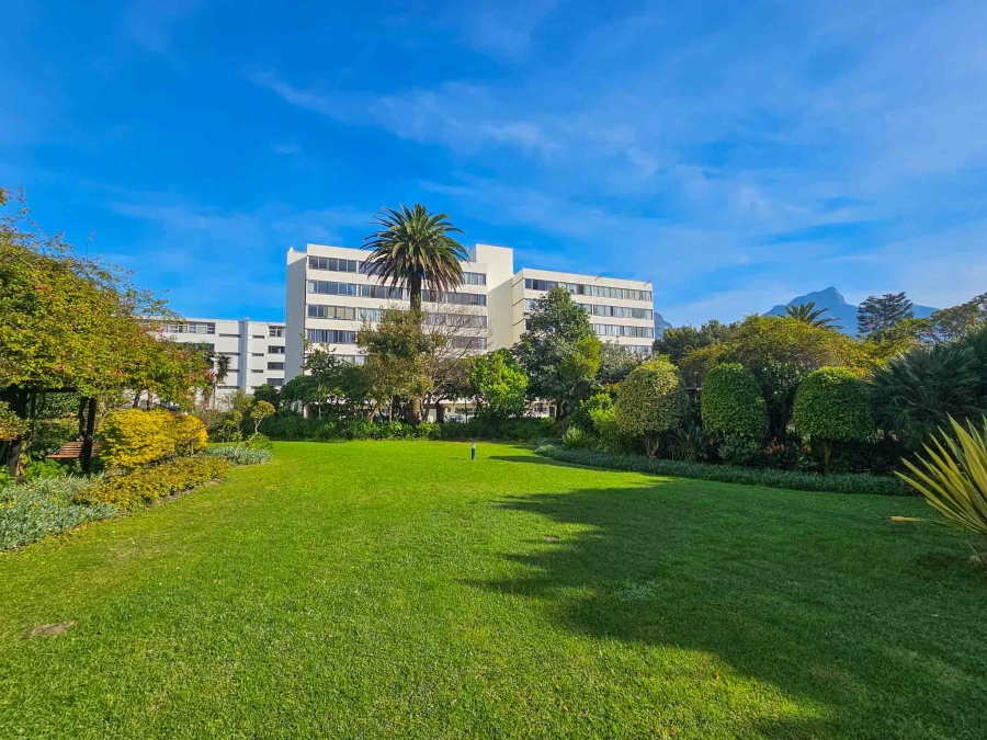 To Let 0 Bedroom Property for Rent in Claremont Western Cape